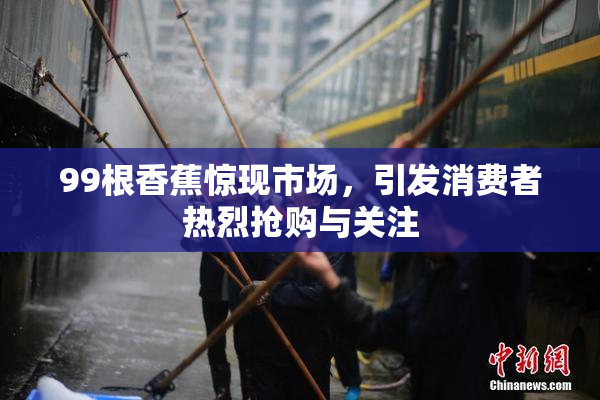 99根香蕉惊现市场，引发消费者热烈抢购与关注