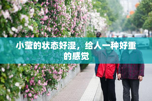 小莹的状态好湿，给人一种好重的感觉