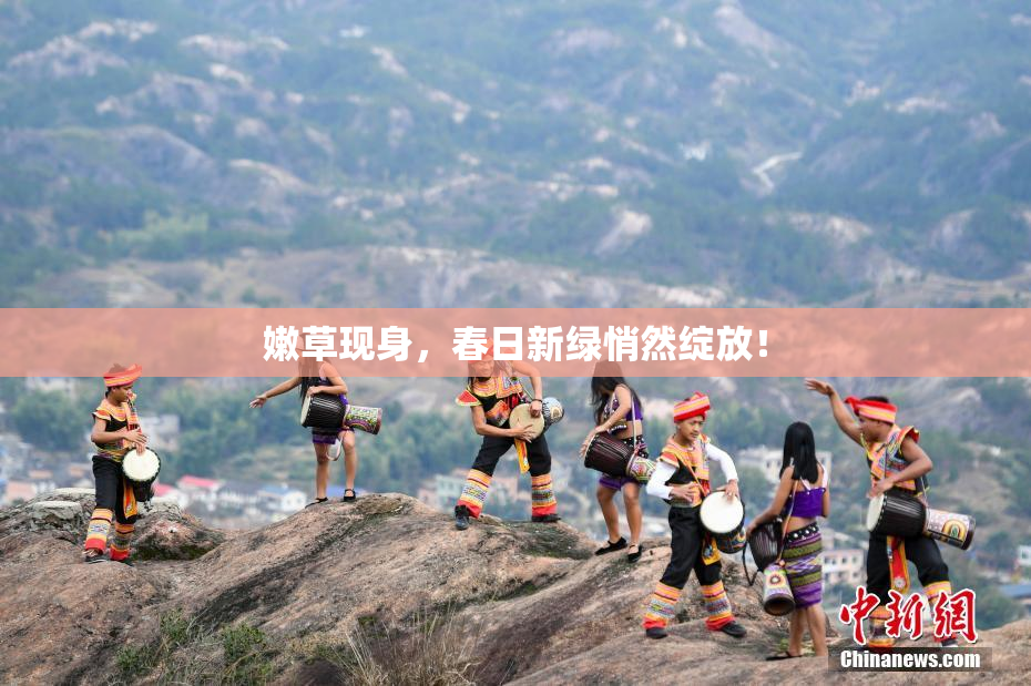 嫩草现身，春日新绿悄然绽放！