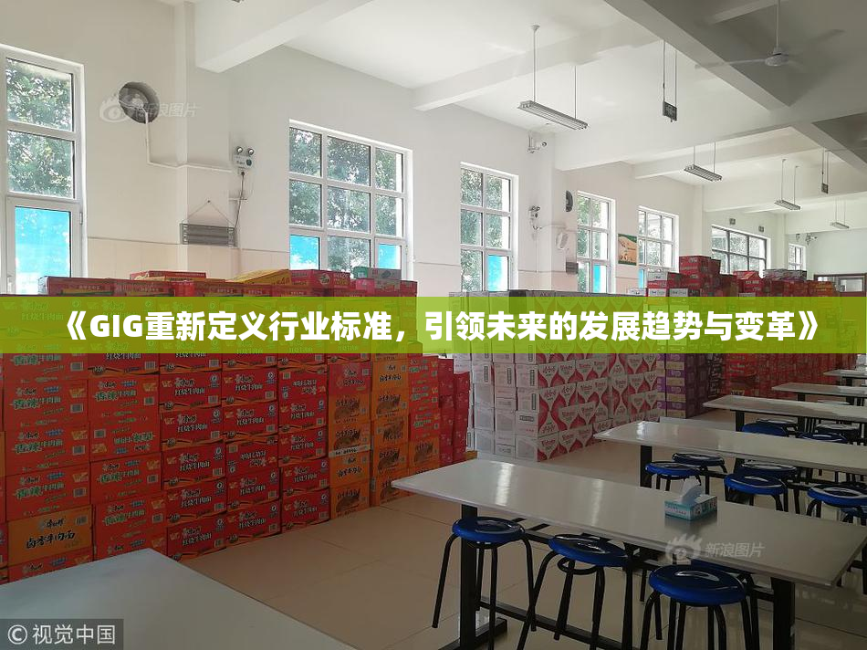 《GIG重新定义行业标准，引领未来的发展趋势与变革》