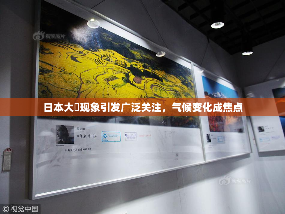 日本大隂现象引发广泛关注，气候变化成焦点