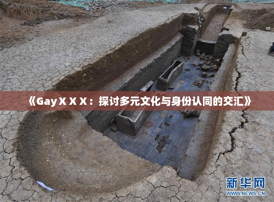 《GayⅩⅩⅩ：探讨多元文化与身份认同的交汇》