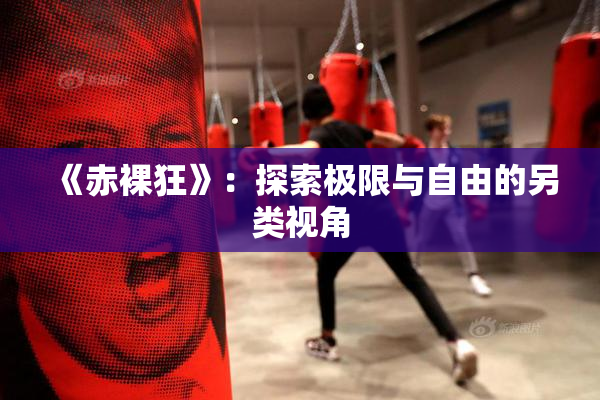 《赤裸狂》：探索极限与自由的另类视角