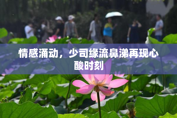 情感涌动，少司缘流鼻涕再现心酸时刻