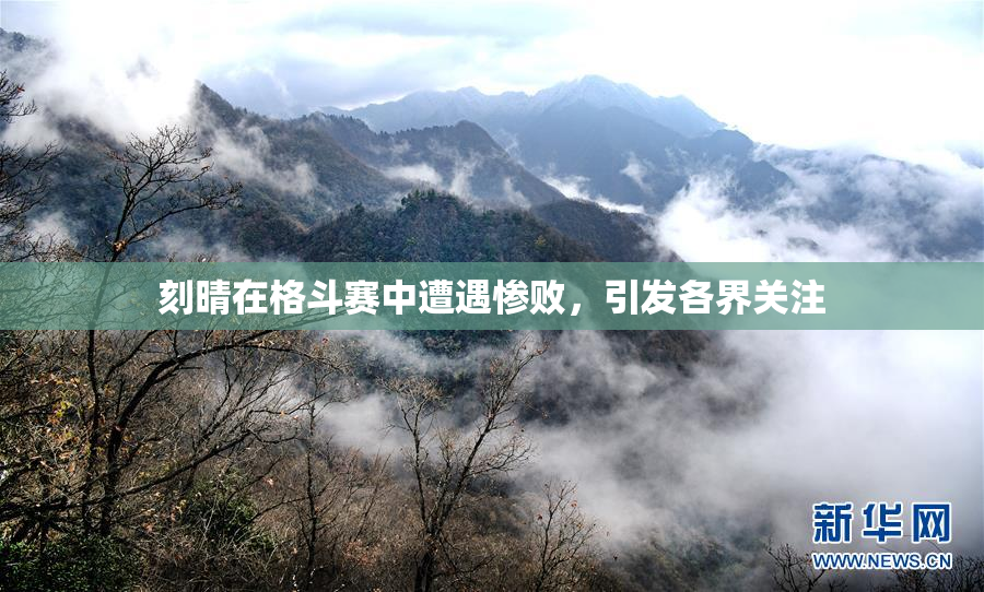 刻晴在格斗赛中遭遇惨败，引发各界关注