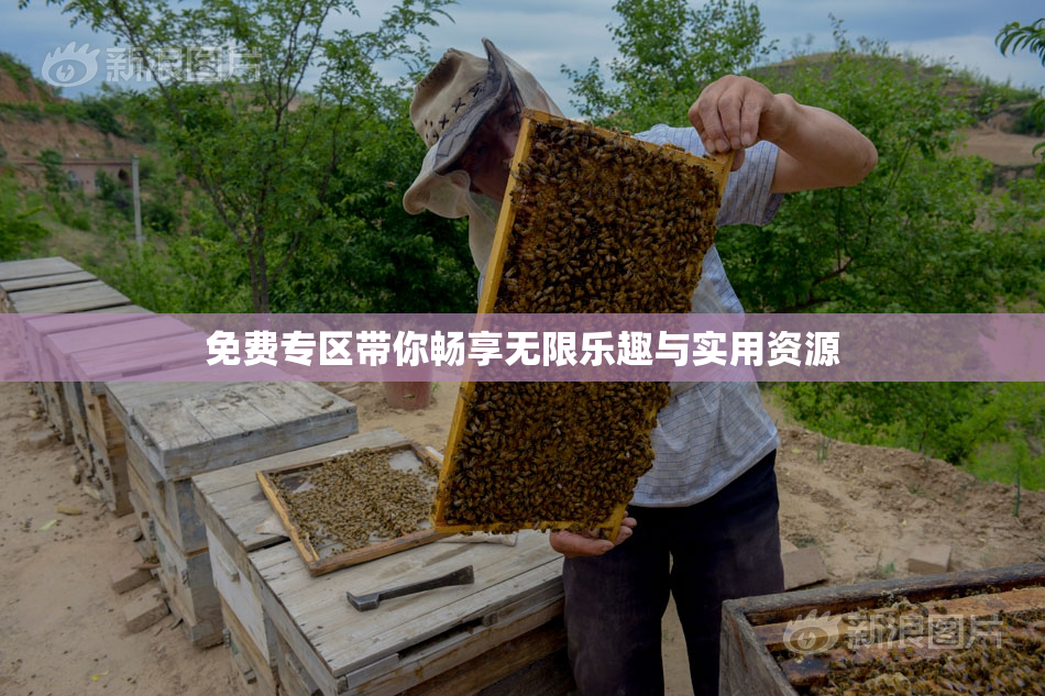 免费专区带你畅享无限乐趣与实用资源