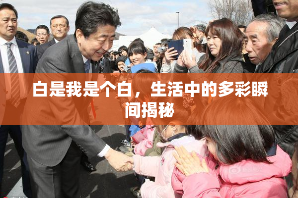 白是我是个白，生活中的多彩瞬间揭秘