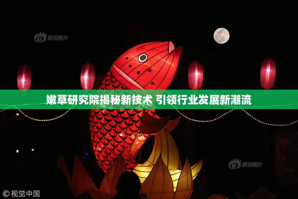 嫩草研究院揭秘新技术 引领行业发展新潮流