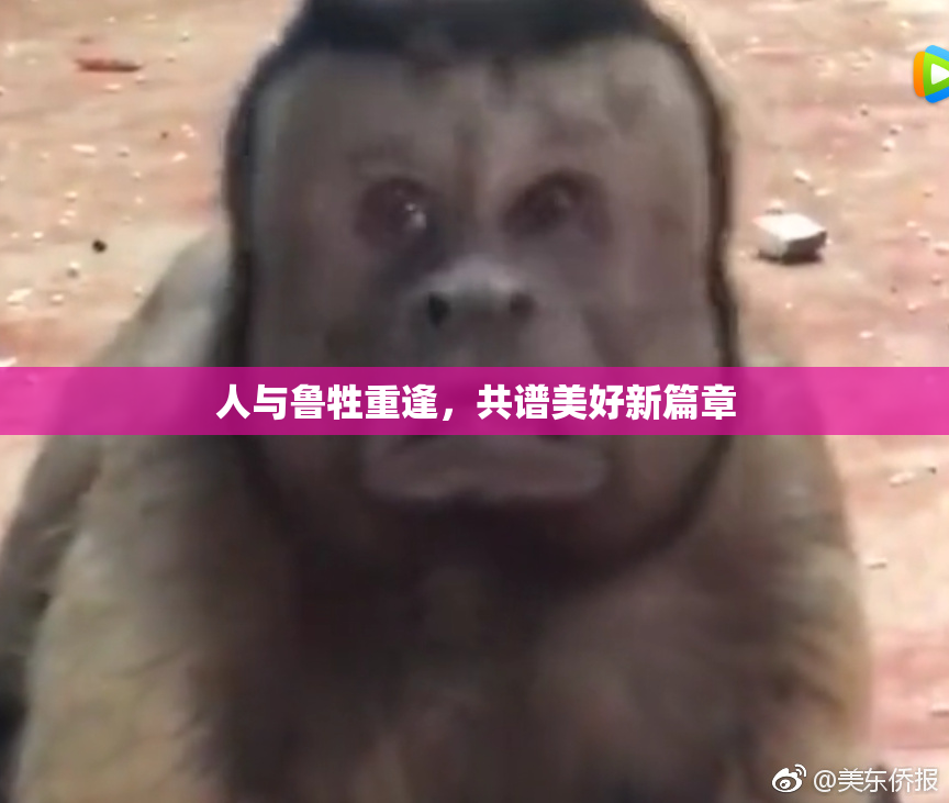 人与鲁牲重逢，共谱美好新篇章