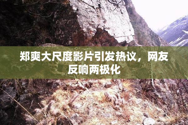 郑爽大尺度影片引发热议，网友反响两极化