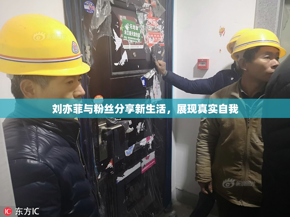 刘亦菲与粉丝分享新生活，展现真实自我