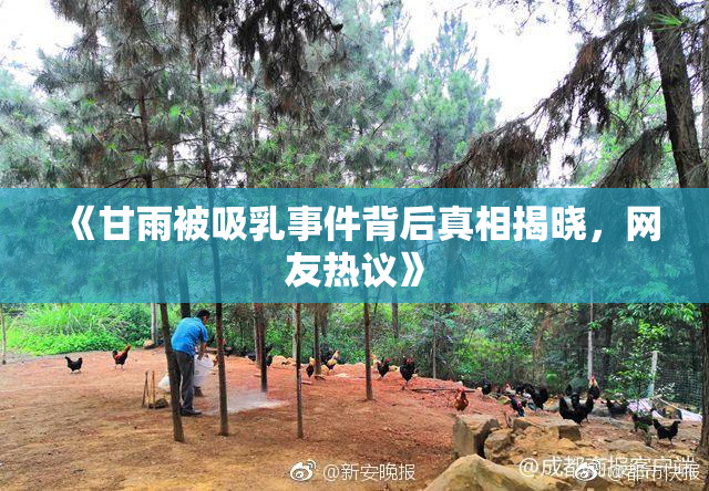 《甘雨被吸乳事件背后真相揭晓，网友热议》