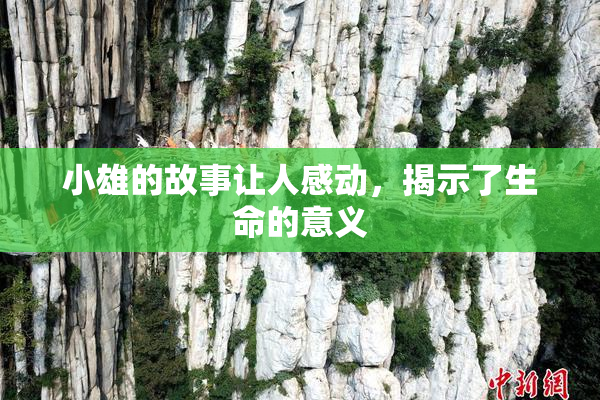 小雄的故事让人感动，揭示了生命的意义