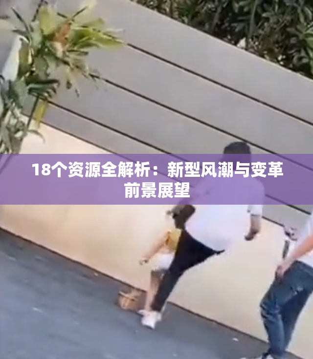 18个资源全解析：新型风潮与变革前景展望