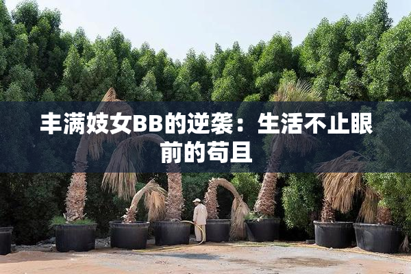 丰满妓女BB的逆袭：生活不止眼前的苟且