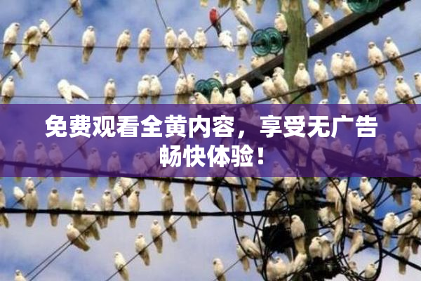 免费观看全黄内容，享受无广告畅快体验！