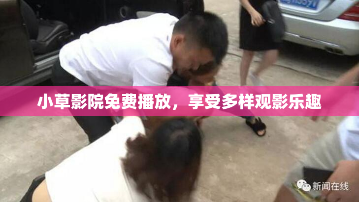 小草影院免费播放，享受多样观影乐趣