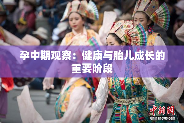 孕中期观察：健康与胎儿成长的重要阶段
