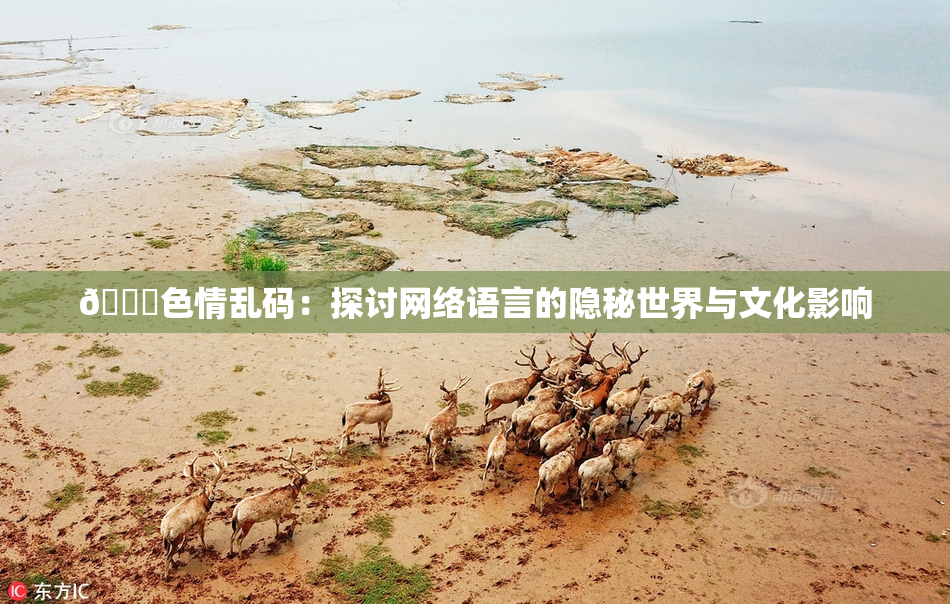 🔞色情乱码：探讨网络语言的隐秘世界与文化影响