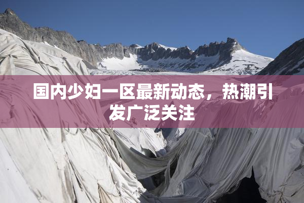 国内少妇一区最新动态，热潮引发广泛关注
