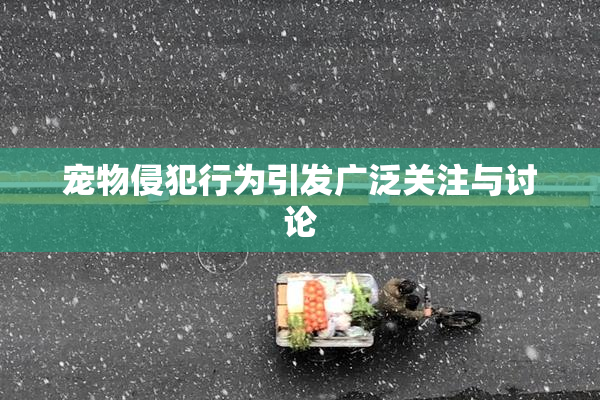 宠物侵犯行为引发广泛关注与讨论