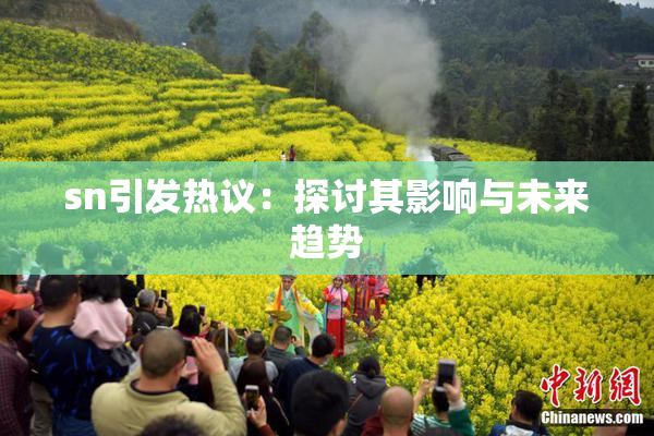 sn引发热议：探讨其影响与未来趋势