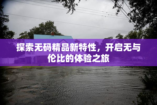探索无码精品新特性，开启无与伦比的体验之旅