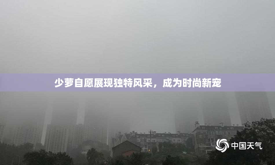 少萝自愿展现独特风采，成为时尚新宠