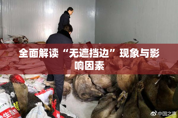 全面解读“无遮挡边”现象与影响因素