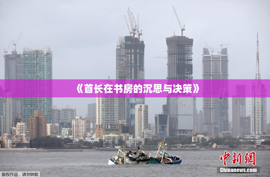 《首长在书房的沉思与决策》