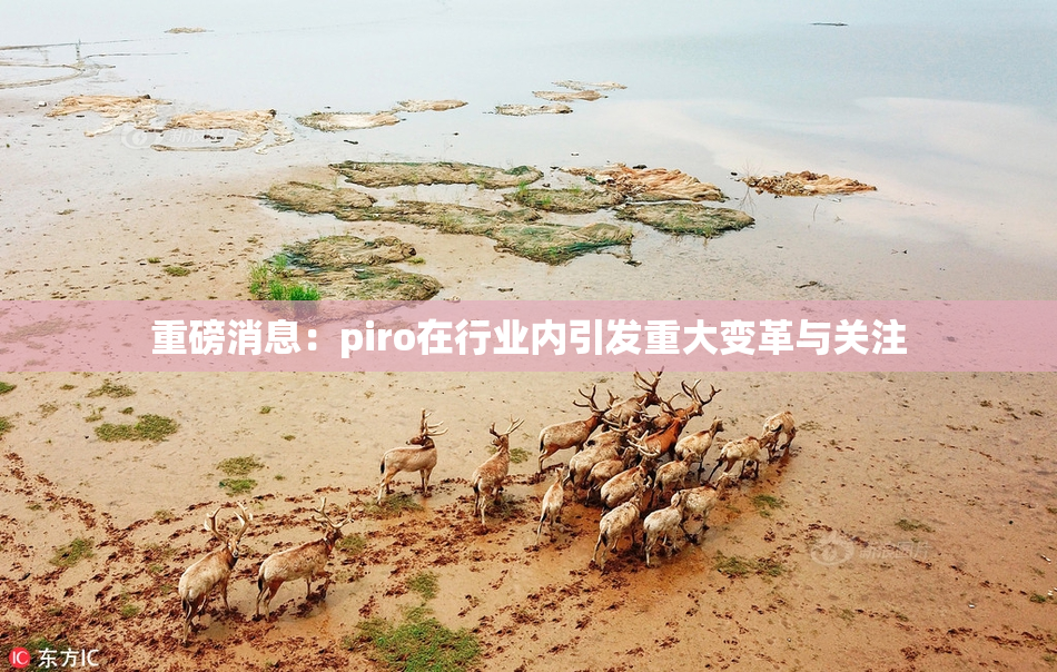重磅消息：piro在行业内引发重大变革与关注