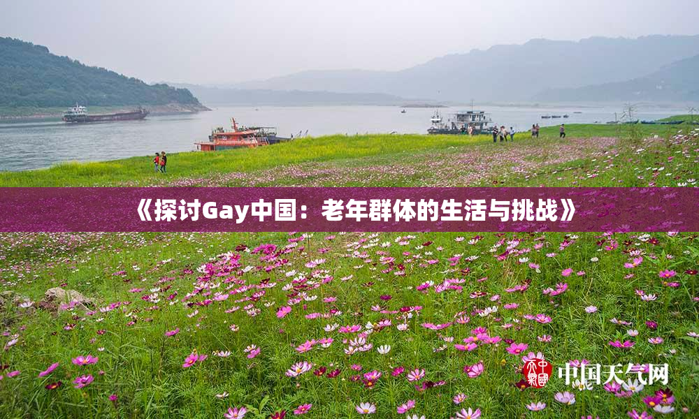 《探讨Gay中国：老年群体的生活与挑战》