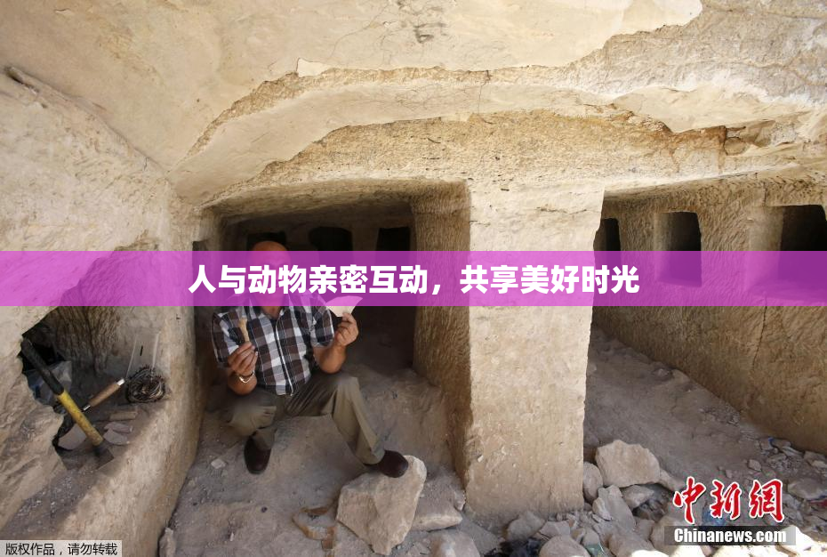 人与动物亲密互动，共享美好时光
