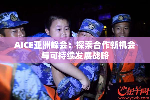 AICE亚洲峰会：探索合作新机会与可持续发展战略