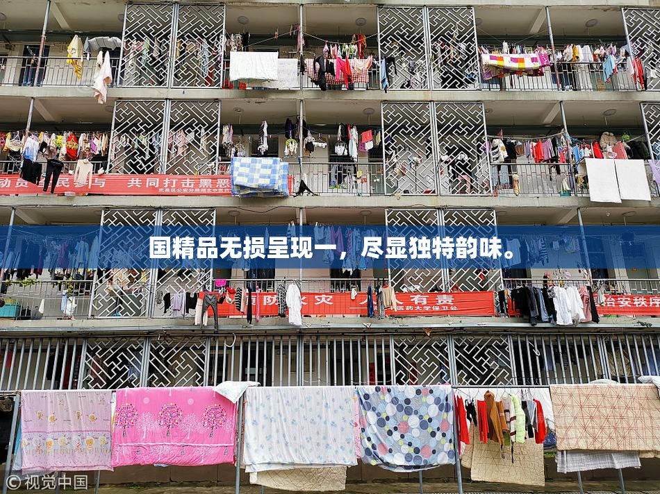 国精品无损呈现一，尽显独特韵味。