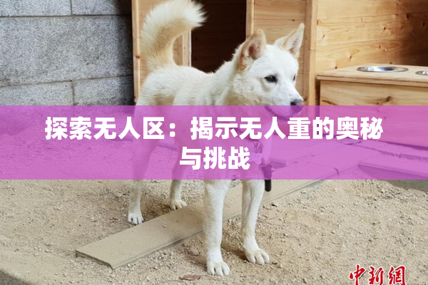 探索无人区：揭示无人重的奥秘与挑战