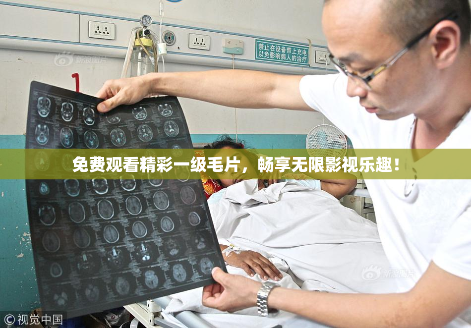 免费观看精彩一级毛片，畅享无限影视乐趣！