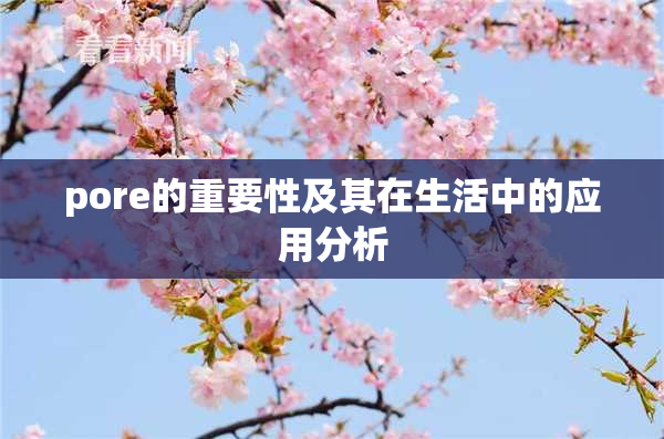 pore的重要性及其在生活中的应用分析