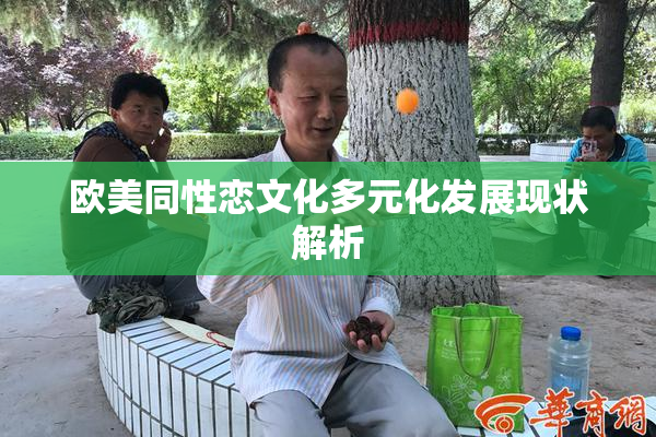 欧美同性恋文化多元化发展现状解析