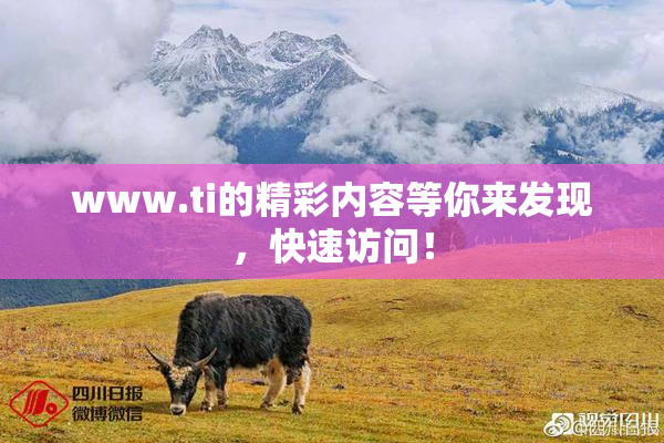 www.ti的精彩内容等你来发现，快速访问！