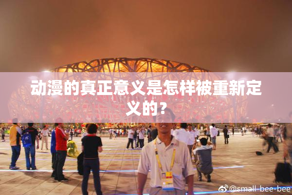 动漫的真正意义是怎样被重新定义的？