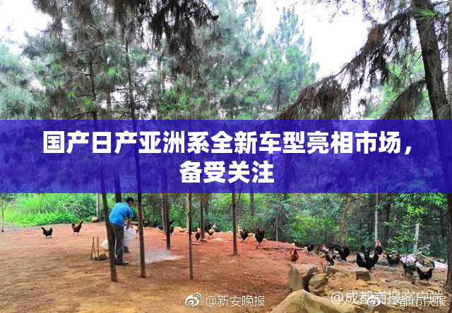 国产日产亚洲系全新车型亮相市场，备受关注