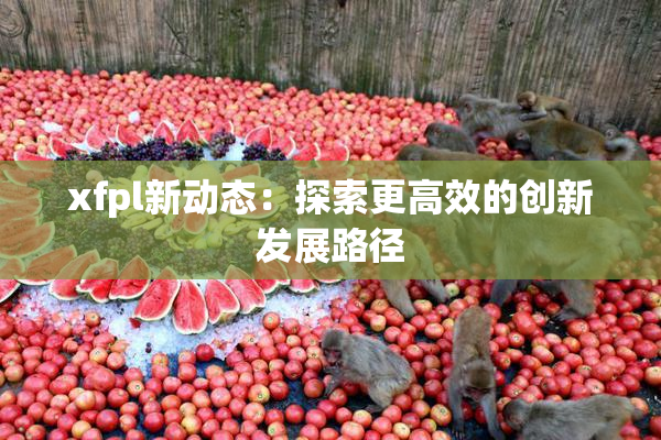 xfpl新动态：探索更高效的创新发展路径
