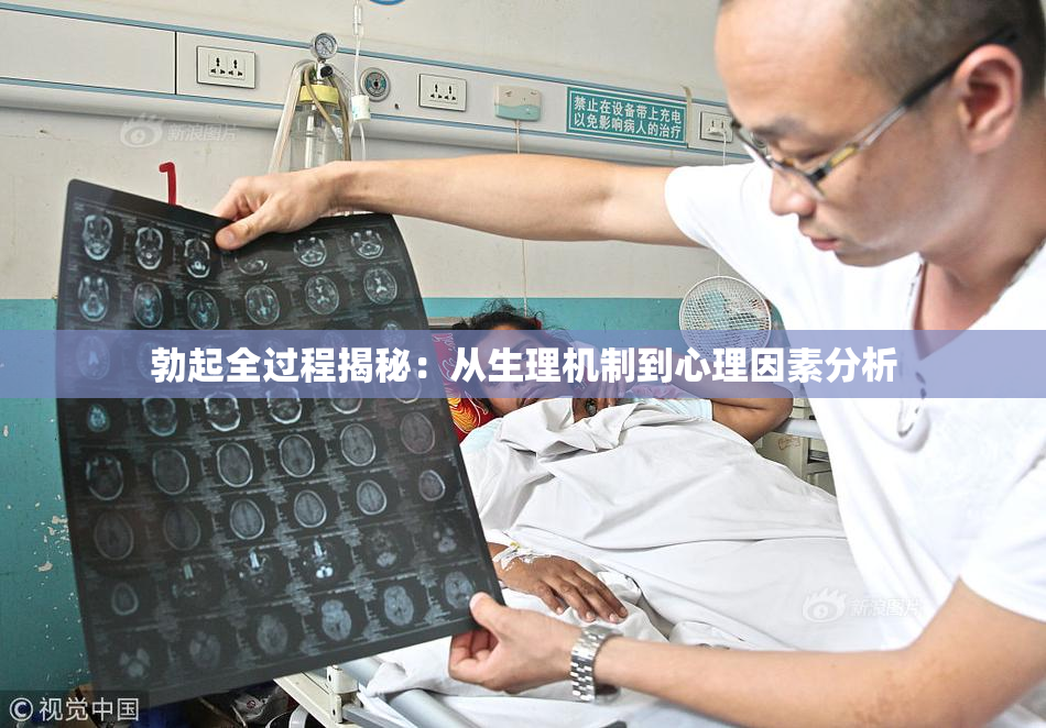 勃起全过程揭秘：从生理机制到心理因素分析