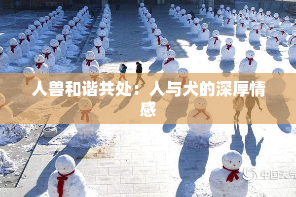 人兽和谐共处：人与犬的深厚情感