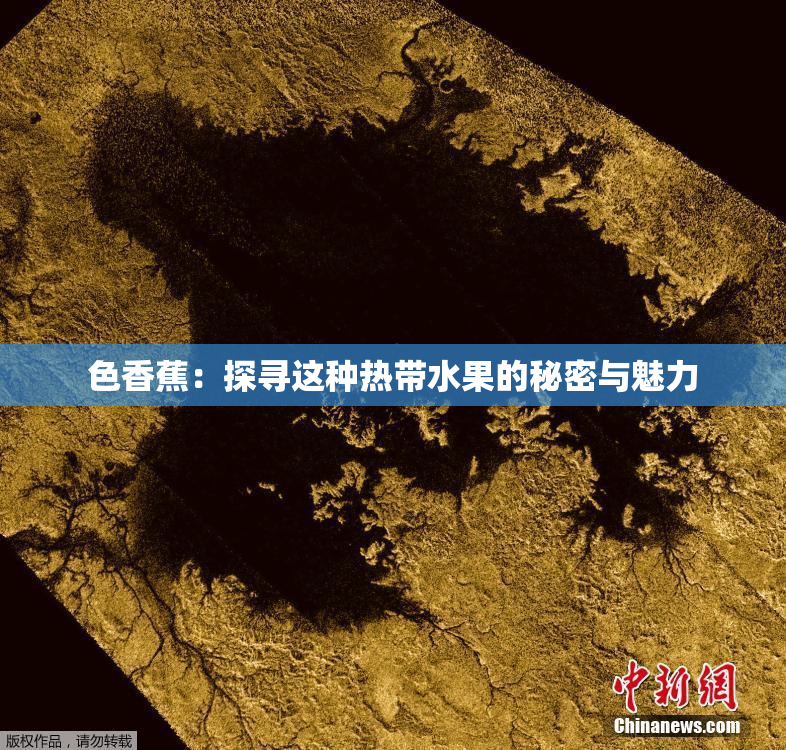 色香蕉：探寻这种热带水果的秘密与魅力