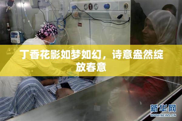丁香花影如梦如幻，诗意盎然绽放春意