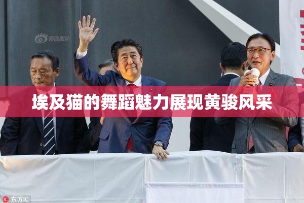 埃及猫的舞蹈魅力展现黄骏风采