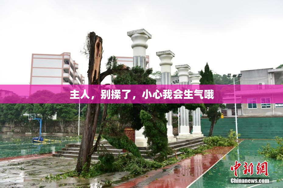 主人，别揉了，小心我会生气哦