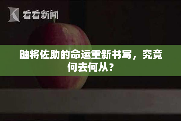 鼬将佐助的命运重新书写，究竟何去何从？